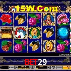 Recursos de Bônus bet29