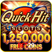 Premium Interface bet29